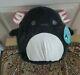 12 Jaelyn The Black Axolotl Squishmallow Nwt Extremely Rare