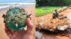 15 Lucky People Who Found The Rarest Things And Became Millionaires Overnight