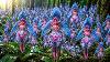 20 Rarest And Most Beautiful Flowers In The World You Won T Believe Exist