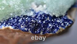 251 Gr Extremely Rare Aragonite, Blue Azurite Crystals On Matrix Helmand @AFG