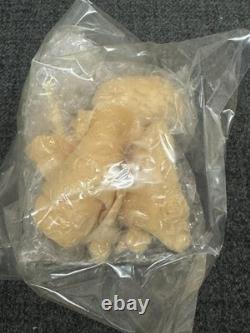 Ballistic Rose Resin Model Kit, G-zero, James Hakola 1/6extremely Rare