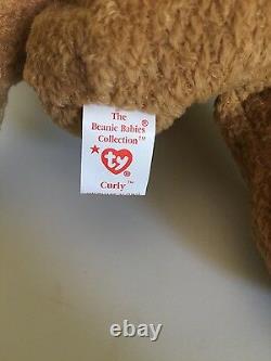 Curly Bear Beanie Baby EXTREMELY RARE 5 ERRORS