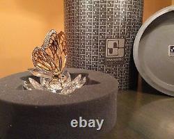 EXTREMELY RARE Swarovski Gold Butterfly 7551NR100 Mint in box