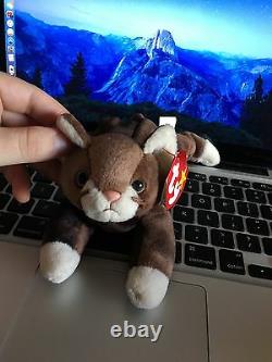 EXTREMELY RARE WITH ERRORS Pounce Beanie Baby