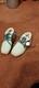 Extremely Rare Adidas Originals Collectible Star Wars Yoda Boats Shoes Uk7 New