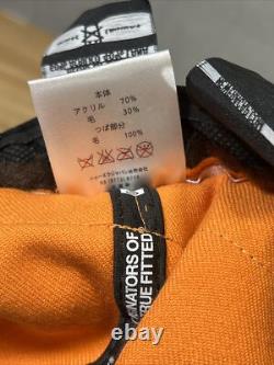 Extremely RARE New Era Dragonball Z Goku Hat Japan Exclusive Cap