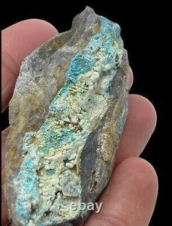 Extremely Rare Botryoidal Turquoise on Matrix Beautiful Mineral Specimen USA