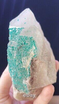 Extremely Rare, Dioptase In Clear Quartz, 455grams