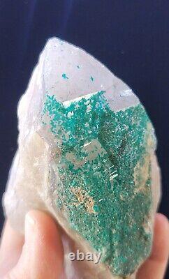 Extremely Rare, Dioptase In Clear Quartz, 455grams