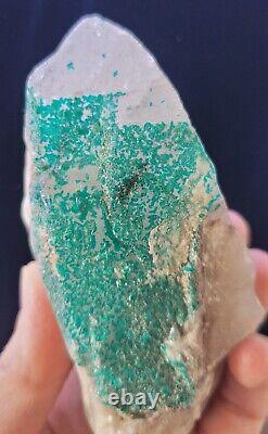 Extremely Rare, Dioptase In Clear Quartz, 455grams