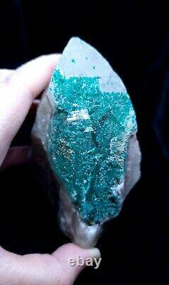 Extremely Rare, Dioptase In Quartz, 455grams