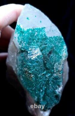 Extremely Rare, Dioptase In Quartz, 455grams