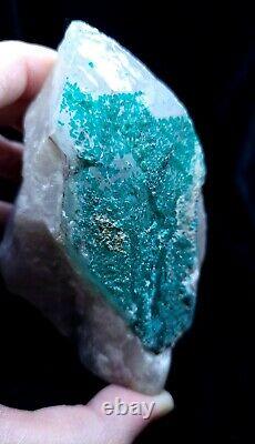 Extremely Rare, Dioptase In Quartz, 455grams