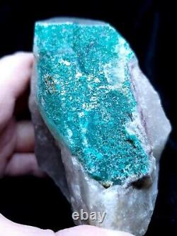 Extremely Rare, Dioptase In Quartz, 455grams