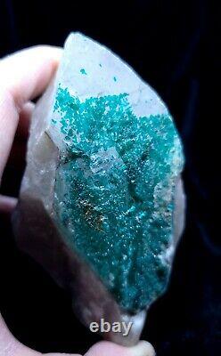 Extremely Rare, Dioptase In Quartz, 455grams