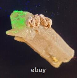 Extremely Rare Hyalite Opal On Clear Quartz, Erongo Mountain, Namibia, 176g