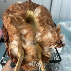 Extremely Rare! Netflix Orange is the New Black Original Screen Used CHICKEN