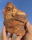 Huge Petrified Opal Agate Wood 6lbs+ Massive Extremely Rare Druzy Covered