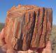 Huge! Wow! Petrified Opal Agate Wood 5lbs+ Massive Extremely Rare Druzy Covered