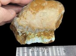 Incredible! ROYSTON Turquoise HUGE! ROUGH Extremely Rare. Tonopah Nevada USA