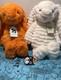 Jellycat Amberley Bunny & Nimbus Bunny. Extremely Rare Bunnies. New Withtags