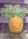 Jellycat Extremely Rare Huge Amuseables Pineapple, New With Tags