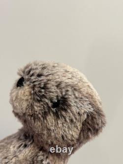Jellycat Extremely Rare Retired Small Bashful Beaver, New Without Tags, Genuine
