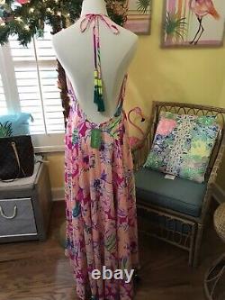Lilly Pulitzer NWT Gizelle Maxi Magenta Tipping Point Size M EXTREMELY RARE FIND