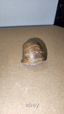 Polished Nautilus Cenoceras Fossil, Isle Of Skye. Bearreraig bay Extremely Rare