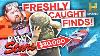 Top 7 Aquatic Finds Pawn Stars