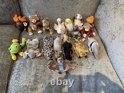 Ty beanie babies extremely rare retired