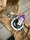 Worcester 87161045690 Diverter Valve Genuine New Extremely Rare Obsolete (b)