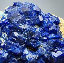 257 GR. Extrêmement rare! Clusters de cristaux de Hauyne bleue sur matrice de l'Afghanistan