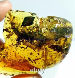 Burmite Amber Fossil Sc5588 Extremely Rare 5cm Lézard