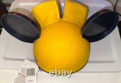 CHAPEAU ADULTE Disney WALL-E Mickey Mouse EARS EXTREMEMENT RARE Neuf avec Étiquettes