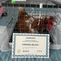 Extrêmement rare ! Netflix Orange is the New Black Écran d'origine utilisé CHICKEN