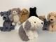Jellycat Extr&ecirc;mement Rare Retir&eacute; Curvie Chien Mouton Neuf Avec &Eacute;tiquettes Authentique