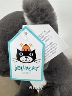 Jellycat Meg Cat, encore tout neuf avec les étiquettes, Retiré et Extrêmement Rare