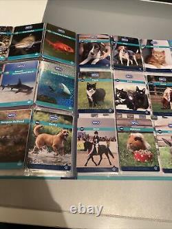 Les cartes à échanger d'animaux et de créatures de la RSPCA extrêmement rares, album S1 seulement 4 manquant.