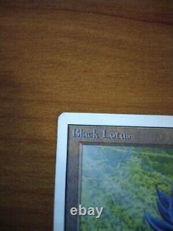 Mtg Black Lotus Unlimited Extrêmement Rare Signé Original 1993