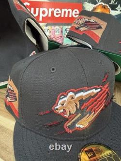 New Era Topperz Fresno Grizzlies Marques de griffes MiLB métallisé 7 3/8 extrêmement rare