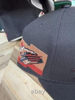 New Era Topperz Fresno Grizzlies Marques de griffes MiLB métallisé 7 3/8 extrêmement rare