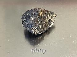 Nodule de pyrite de fer spécimen extrêmement rare ressemblant à du métal mais ressemblant à de la roche - l'or des fous