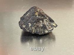 Nodule de pyrite de fer spécimen extrêmement rare ressemblant à du métal mais ressemblant à de la roche - l'or des fous