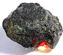 Painite rouge brun extrêmement rare non chauffé brut de facette 173,50 Ct certifié Mogok