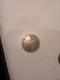 Penny 2p New Pence De 1981 Extrêmement Rare