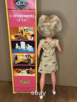 Sindy Pedigree Funtime 1976 Poupée originale 44618 extrêmement rare neuve